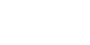 Evolution games provider logo